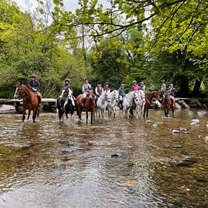 Guided Adventures on Exmoor